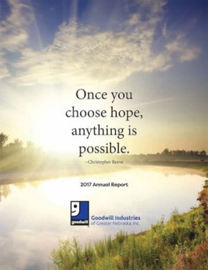 2017 Annual Report